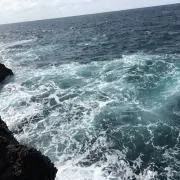 わの画像