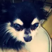 GACKT
