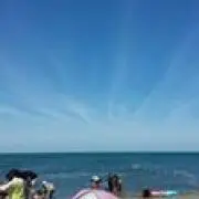 K　セール
