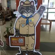 ナッツ