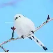 ぱんち