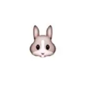 みみみ