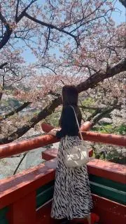 ゆーのん
