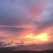 さぴの画像
