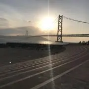 mireの画像