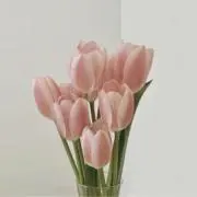 キティ /卒花の画像