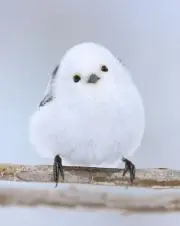 sora☆の画像