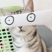ますちゃんの画像