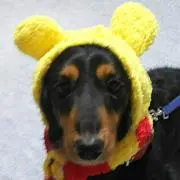 カコ