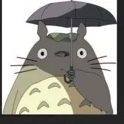 きのの画像