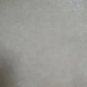 ラビンサラの画像