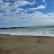 hamaの画像