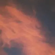 ぴょえの画像