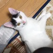 みも