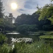 あくすの画像