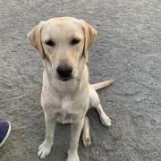 hana＊hanaの画像