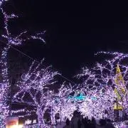星の海※即購入NG プロフ確認しての画像