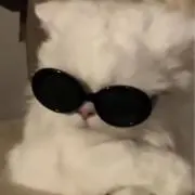 もやしの画像