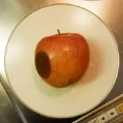 林檎の画像