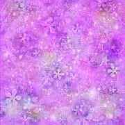 STAR msの画像