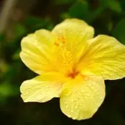 はる(引越しのため断捨離中)の画像