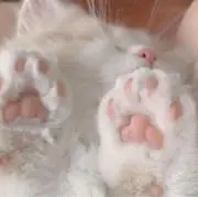 ♥︎の画像