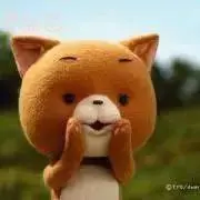 こまねこの画像