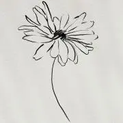honoの画像