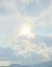 カエル 断捨離中