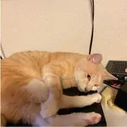 まっちゃんの画像
