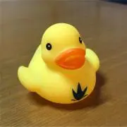 ヒヨママ