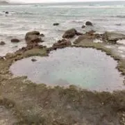 haruの画像