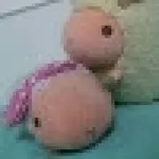 ぽんずの画像