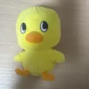 りですの画像