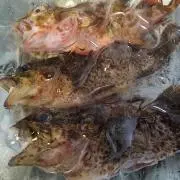 辛抱伊知郎♪