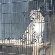 hiroの画像