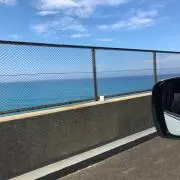 もっちゃんの画像