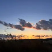 Rimの画像
