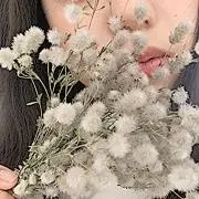 mireの画像