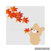 yokoの画像