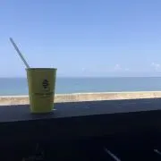 ビクトリーノの画像