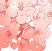 オレンジの画像