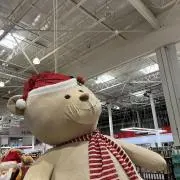 ここの画像
