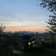 ぴょん