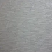 しいたけの画像