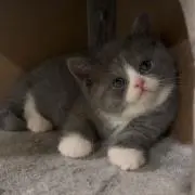 ゆあ　プロフ必読の画像