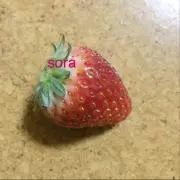 空の画像