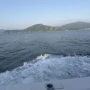 らふれの画像