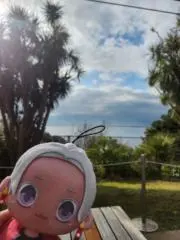 あず ♪グッズ整理中♪ 即購入️⭕️の画像
