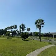 Nasの画像